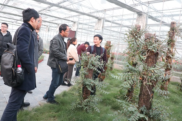 培训班参观樱桃APP免费下载临浦基地
