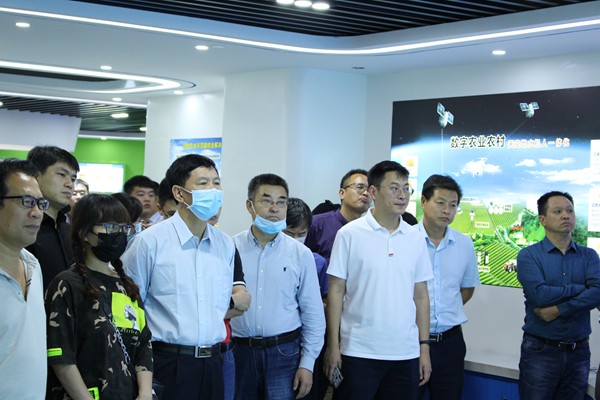 培训班一行观摩了樱桃APP免费下载公司