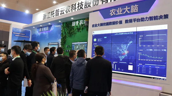 樱桃APP免费下载展位