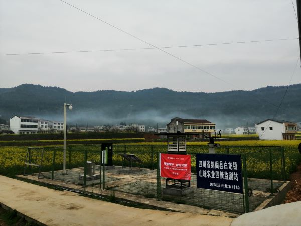 樱桃APP免费下载病虫害监测点