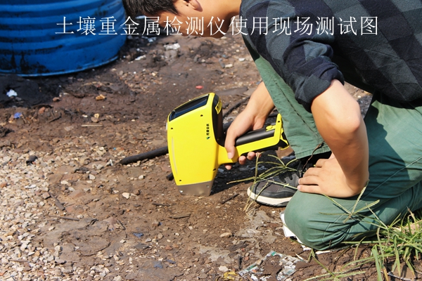 樱桃视频污在线看重金属检测仪使用现场测试图