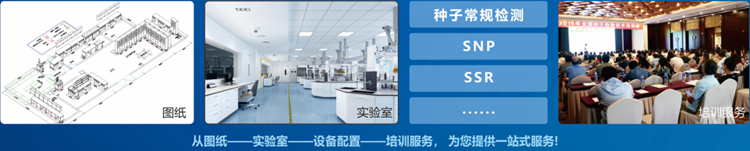 一站式樱桃免费人成网站WWW检验