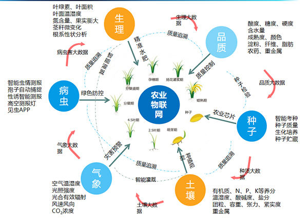 樱桃APP免费下载打造的全要素智能采集系统