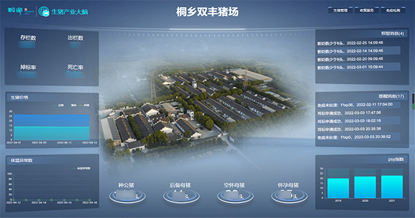 樱桃APP免费下载打造的“生猪精密智管”社会化服务应用
