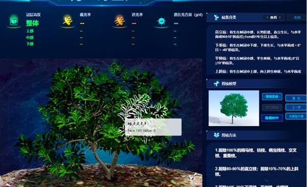 “云”上种颗杨梅树，农户照着养杨梅