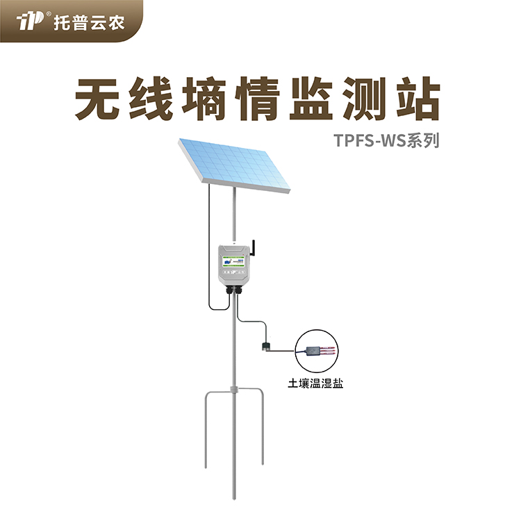 多点樱桃视频污在线看水分监测系统