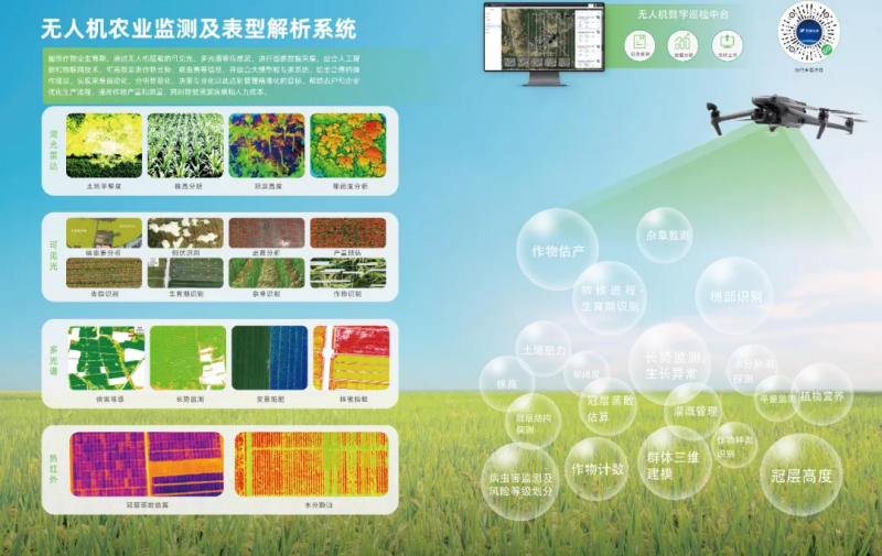 图片9_副本.png