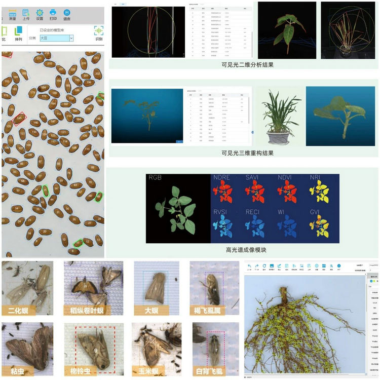 问稷技术应用.jpg