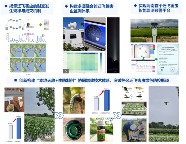 图片2_副本.png