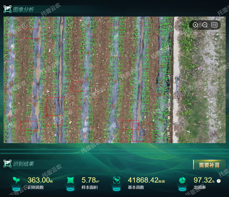 出，苗率.png