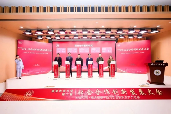 1784106116733013.jpg 图片6_副本.jpg